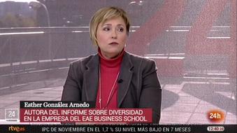 Interview in the the public TV of Spain, Channel TVE 24h, about the report on diversity (20 June 2017)